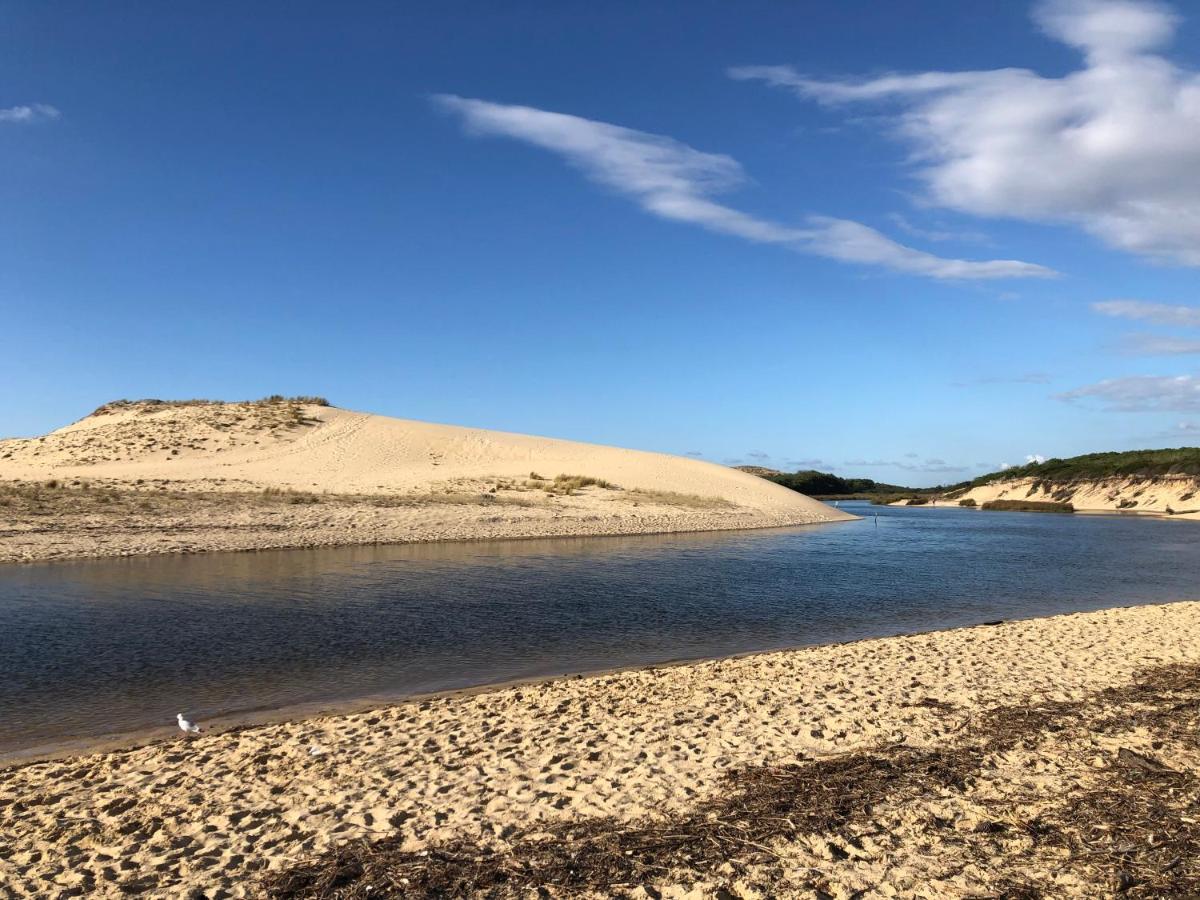 Chaleureux Appartement A 500M De L'Ocean Et 150M Du Golf Moliets-Plage Eksteriør billede